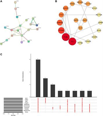 Uncovering ferroptosis in Parkinson’s disease via bioinformatics and machine learning, and reversed deducing potential therapeutic natural products